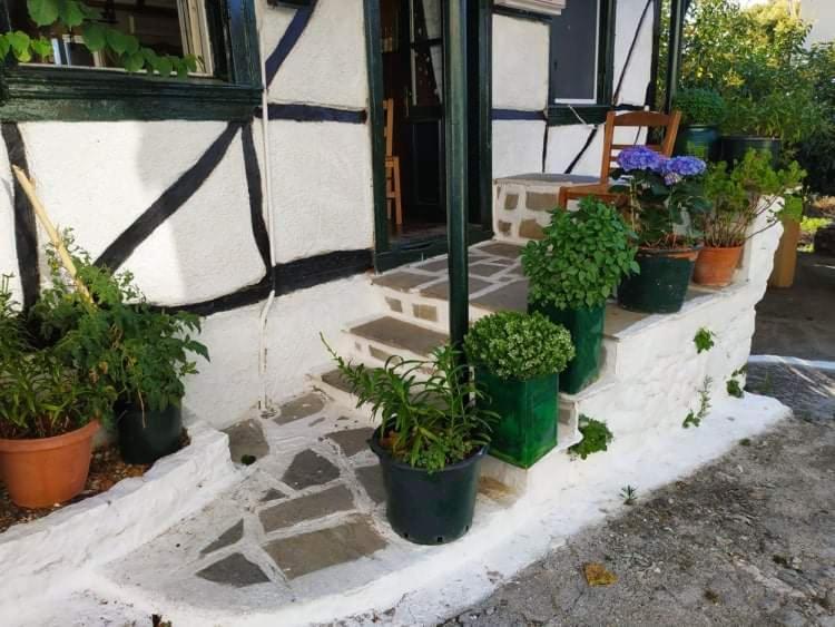 Lefkada Villas Panoramic Katouna Zewnętrze zdjęcie